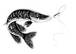 Pike Fish Illustration in Vintage Hand Drawn Style