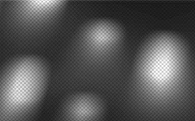 Wall Mural - abstract shadow overlay from foliage on a transparent background.