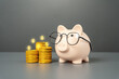 Piggy bank with glasses and a stack of coins. Accounting and auditing. To earn money. Deposits and investments. Financial planning and literacy. Save for education.