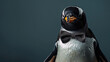 A penguin wearing a bow tie looking at you with a stern expression
