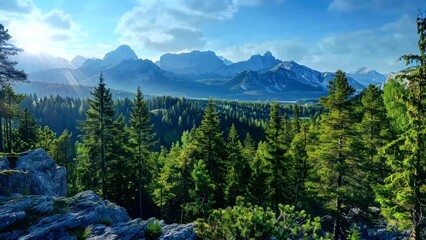 Wall Mural - The Great Outdoors: Wilderness Adventure in Forest and Mountains. Seamless looping time-lapse virtual 4k video animation background
