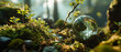 Enchanting Forest Scene with Miniature Glowing Globe Among Moss and Plants