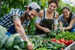 © Mark Pollini - Friendly team harvesting fresh vegetables from the rooftop greenhouse garden and planning harvest season