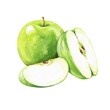 Green apple fruits watercolor illustration 