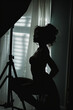 © Alexander - silhouette of a woman, a home photo shoot