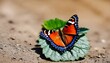 A colorful butterfly 2 (22)