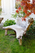 bench made of wood. bench carved from wood, driftwood. garden furniture design