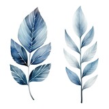 Fototapeta Natura - Two blue leaves with white veins