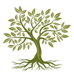 tree with roots on a white background