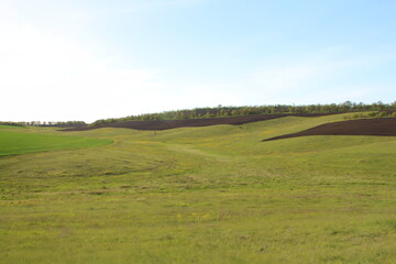 Wall Mural - A large green field