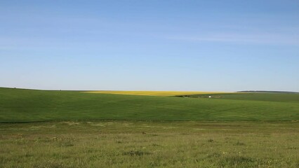 Wall Mural - A green field with a blue sky