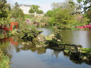 Wall Mural - Parc Oriental de Maulévrier, Maine et Loire, Pays de la Loire, France, Japon, japonais,