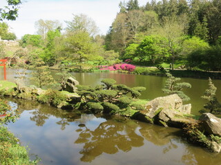 Canvas Print - Parc Oriental de Maulévrier, Maine et Loire, Pays de la Loire, France, Japon, japonais,