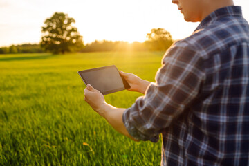 Wall Mural - Digital tablet in the hands of a young farmer. Modern digital technologies. Agronomist at the farm. Business Farm.