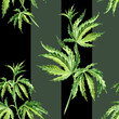 Cannabis leaves with strips. Hand drawn watercolor seamless  pattern