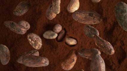 Canvas Print - Super Slow Motion of Falling Group of Cocoa Beans. Falling Down into Cocoa Powder. Filmed on High Speed Cinema Camera, 1000fps.