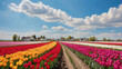 Fields of colorful tulips and white wooden houses in the distance. Bright daytime sky, realistic visual style,