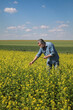 Farmer or agronomist inspecting quality of canola in early spring using tablet