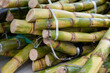 Stems of fresh sugar cane plant for squeezing juice on Portobello roan food market in London