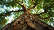 Extreme close-up shot of Manilkara zapota also called sapotta tree in tamilnadu