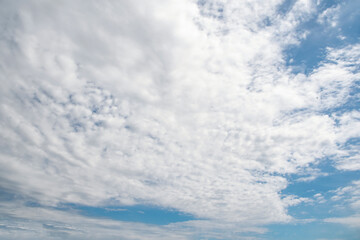 Wall Mural - The sky is blue and cloudy. The clouds are white and fluffy