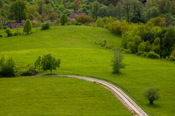 Wall Mural - A country road on a field with green grass near the village. Spring countryside landscape