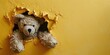 Close up view picture of the hollow yellow hole on the the wall that show the teddy stay inside the wall that has been made from some material yet still can break to look through other side. AIGX03.