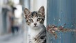 young cat of whiskas color nestled against metal pole, concept of survival of maintenance of four-legged pets, abandoned animals in city, sterilization and treatment of cats, pet shelters