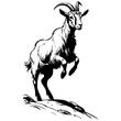 Monochrome Alpine Goat jumps drawing, black silhouette animal vector, isolated animal