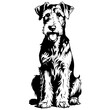 Monochrome Airedale Terrier sitting ink hand drawn animal illustration, transparent background