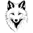 Vector Arctic Fox portrait monochrome outline drawing, realistic tattoo painting on transparent background