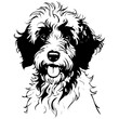 Vector Aussiedoodle portrait ink hand drawn animal illustration, transparent background