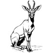 Vintage Antelope sitting drawing, outline cartoon animal, vector engraving silhouette with transparent background