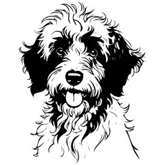 Poster - Vector Aussiedoodle portrait ink hand drawn animal illustration, transparent background