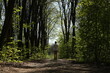 Young man in white shirt walking alone in the green spring forest. Photo was taken 29 April 2024 year, msk time in Russia.