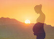 New Life philosophy Pregnancy and Birth Concept, silhouette of Pregnant Woman and Beautiful Sunrise