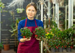 Woman florist in apron holding pot with wintergreen in flower shop