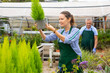 Positive female gardener in uniform taking photos of flowers and potted plants on phone in greenhouse