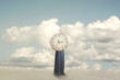 Surreal woman holding a clock in front of her face, abstract concept