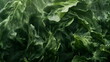 © xuxu - Fresh green spinach leaves on a natural background. Top view of fresh organic spinach leaves. Healthy green food and vegan background.