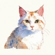 a close up watercolor painting of a cat's face