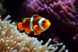 Clown fish in the ocean generative AI