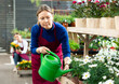 female flower shop worker stands at rack and waters pots of daisies