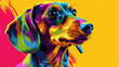 Portrait of dachshund dog in colorful pop art comic style painting illustration.