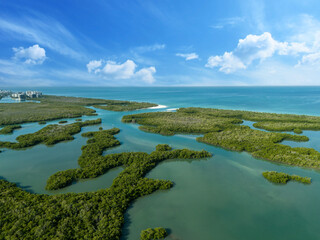 Wall Mural - Blue sky over the mangrove tree waterway off the Gulf of Mexico