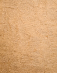 Wall Mural - Close-up view of a light-colored wooden surface, displaying the natural grain and texture. Lines and patterns typical for wood textures are visible