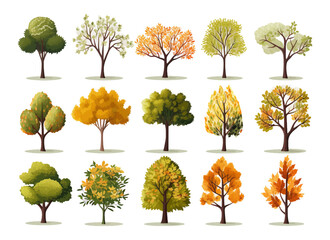 Wall Mural - Watercolor hand drawn set with illustration of autumn colorful deciduous trees isolated on white background. Collection of red, yellow, orange autumn season trees in summer day