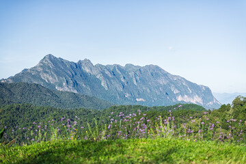 Wall Mural - viewpoint and landscape of high doi luang chiang dao mountain in chiang dao district of chiang mai p