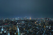 東京　夜景	