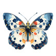 A colorful butterfly with blue, white, and orange wings on a white background